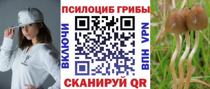 Галлюциногенные грибы Psilocybine cubensis  закладки  Зеленокумск 